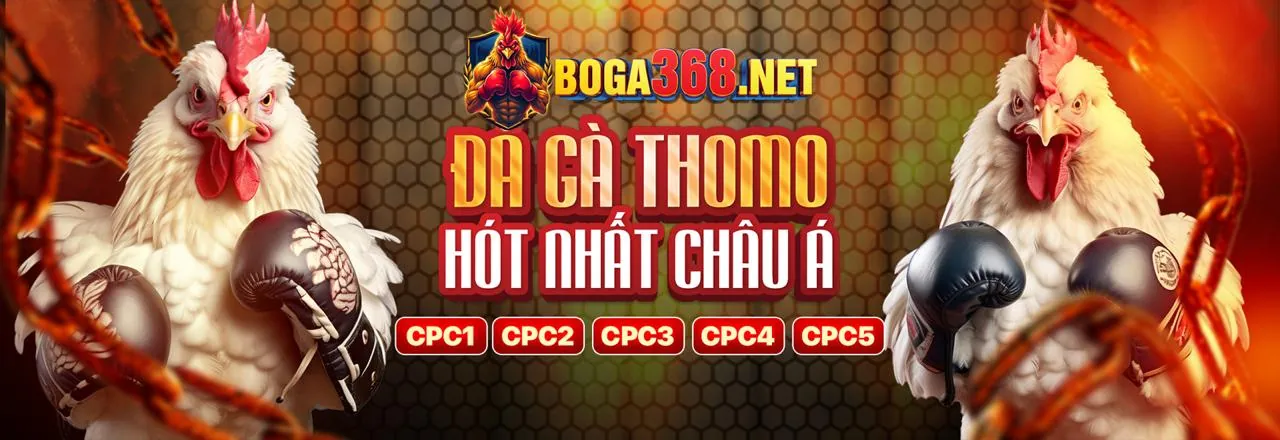 Cá cược thể thao QGWIN